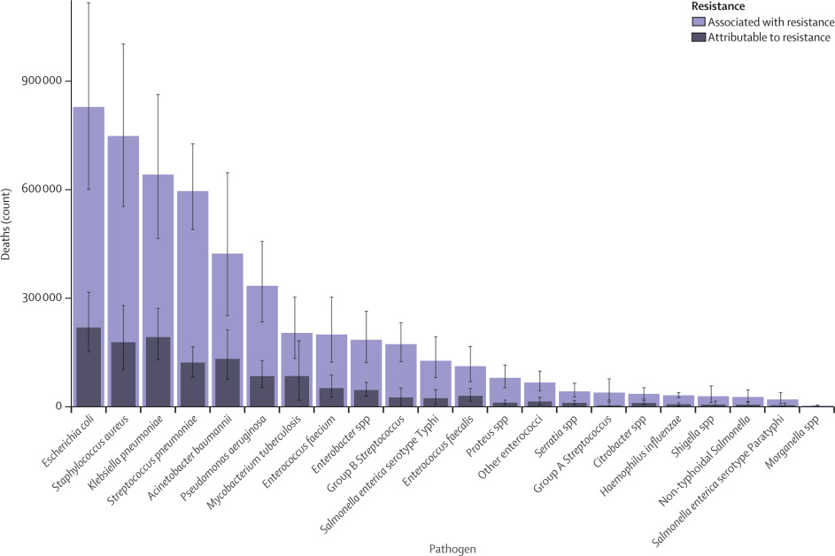 Antimicrobial resistance (AMR)