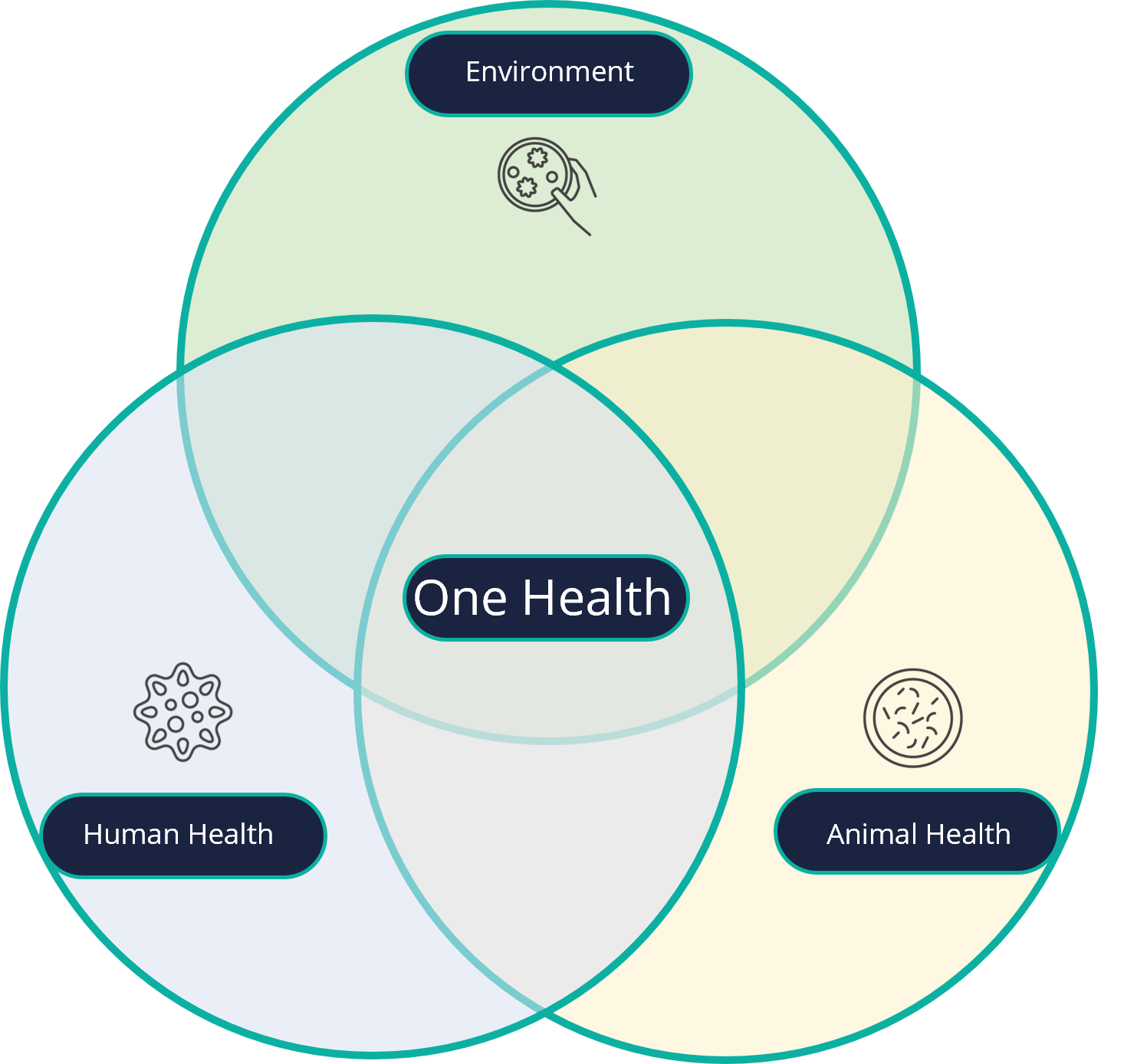 One health pillars (human health, animal health, environment health)