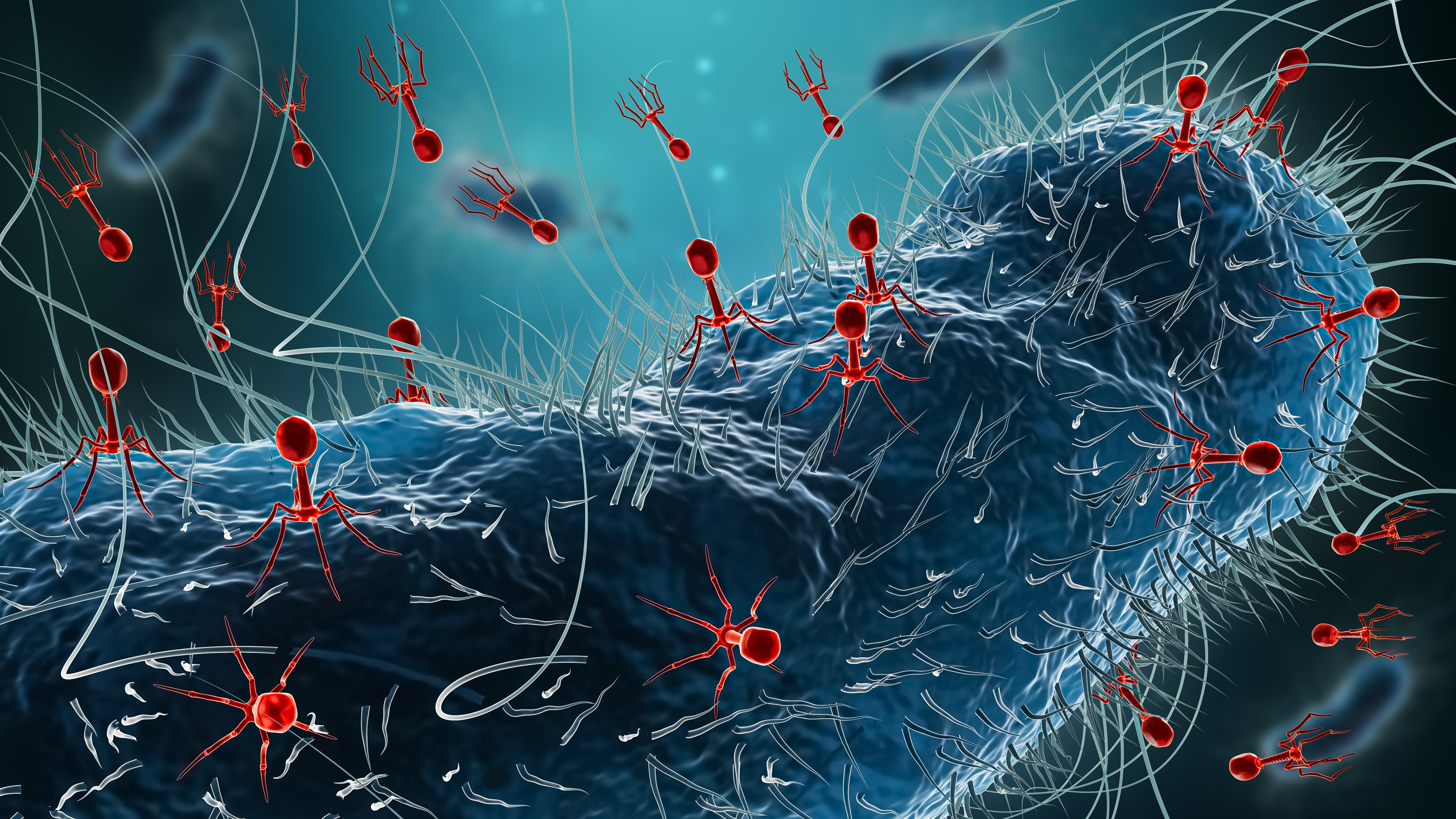 Real life phage therapy