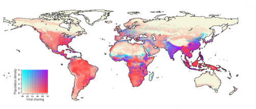 Climate change and infection