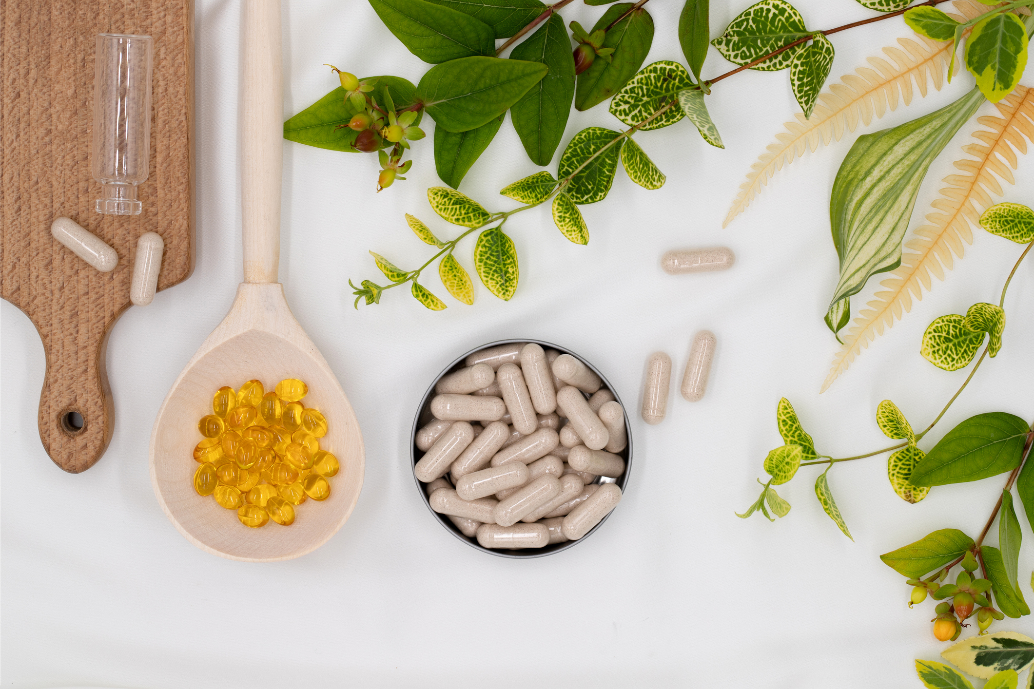 prebiotics