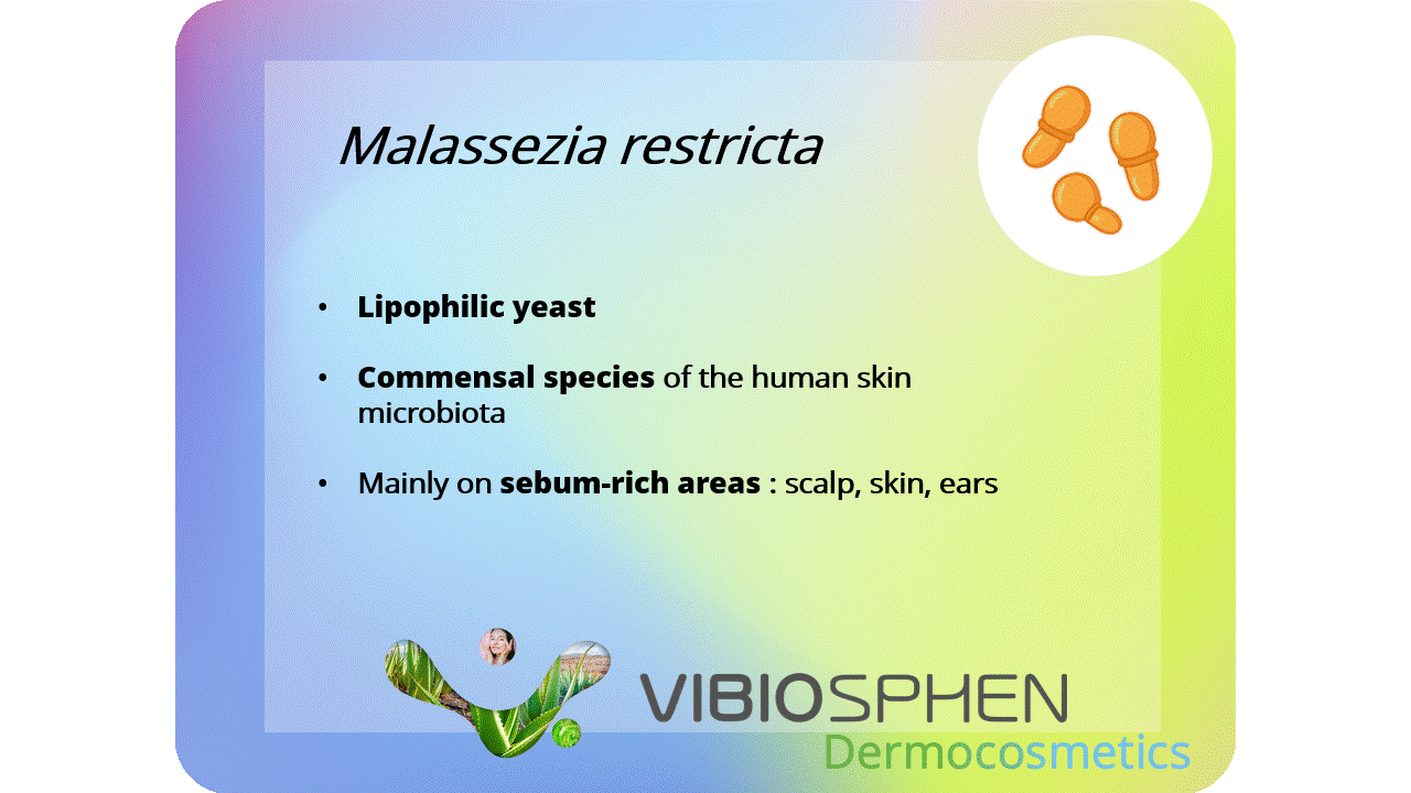 Malassezia restricta passport