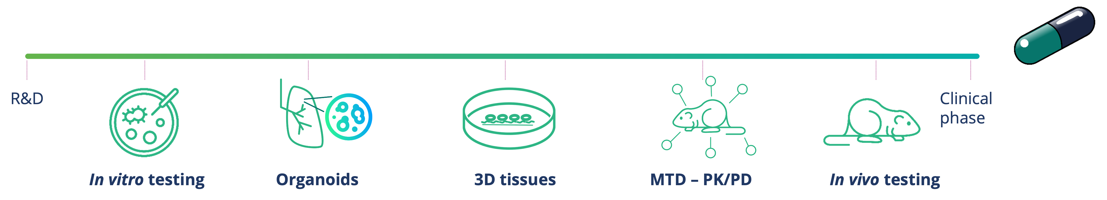 preclinical models