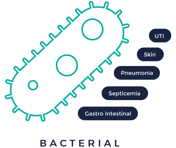 bacterial infectious disease