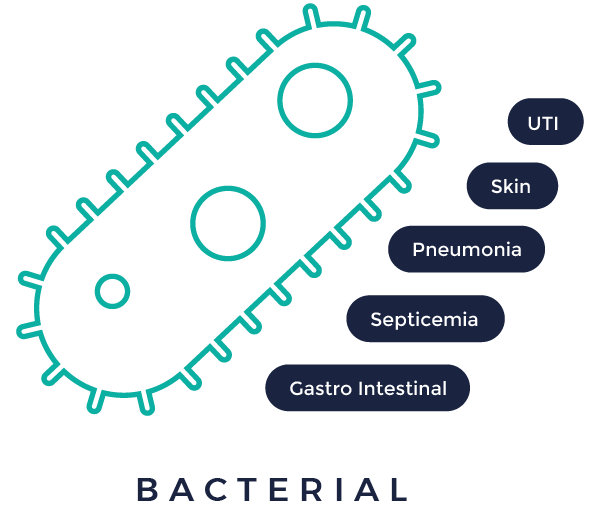 bacterial