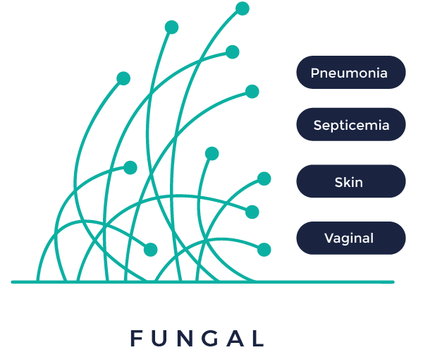 bacterial