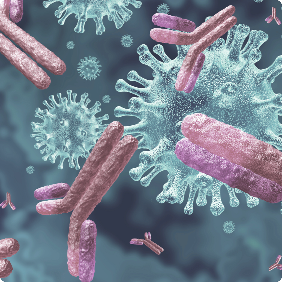 immunity and inflammation