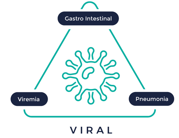 In vivo viral infectious diseases
